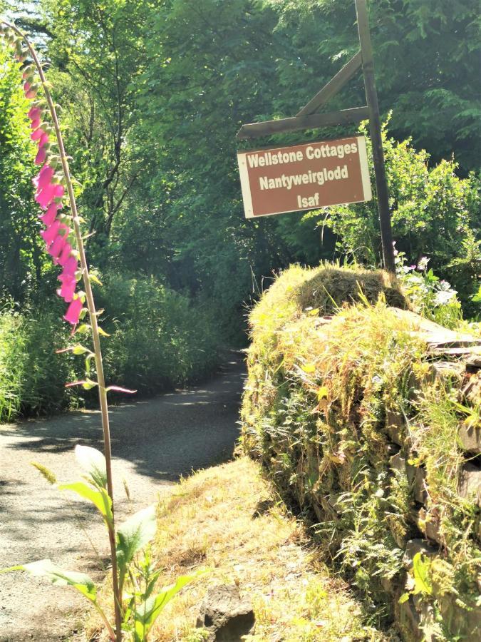 Wellstone Cottages - Coach House Llanfyrnach Bagian luar foto